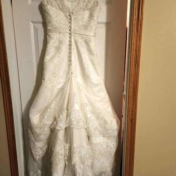 Champagne Wedding Dress - Picture 2 of 9